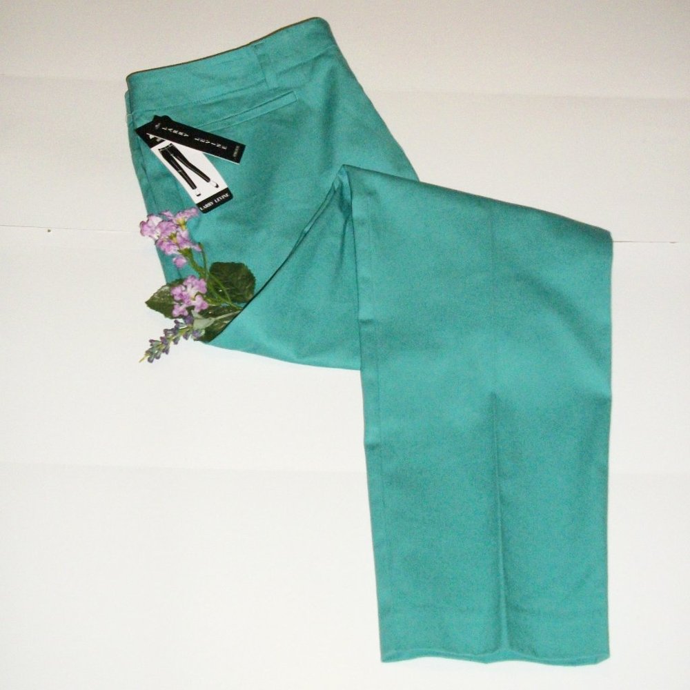 LARRY LEVINE 16 Ankle Length Pants NWT Slim Leg Beach Glass Green